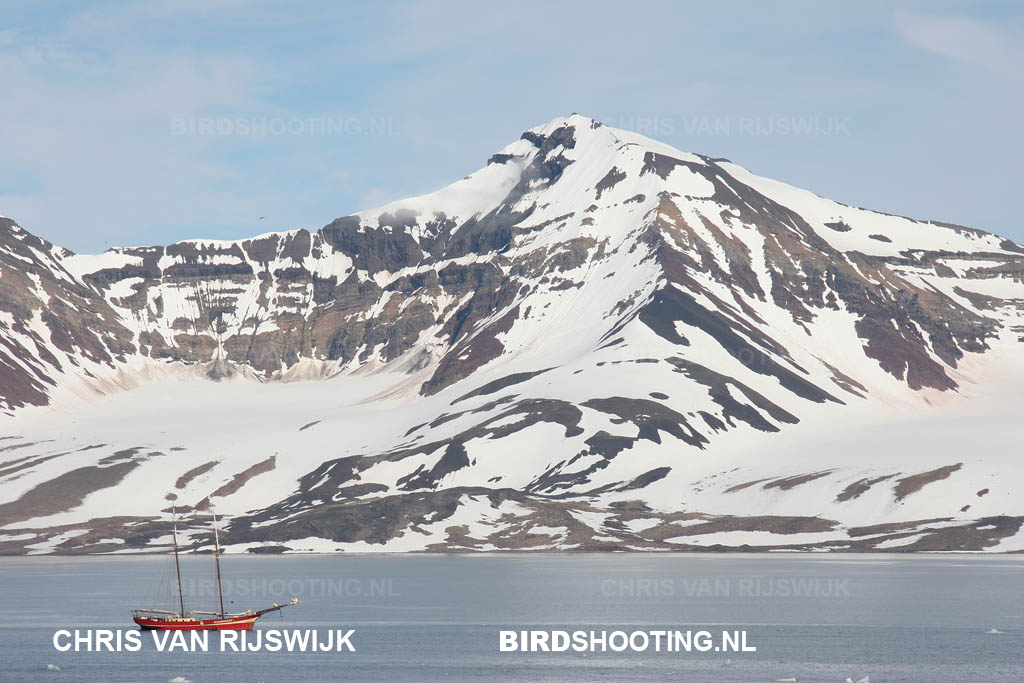 Spitsbergen 10 8082