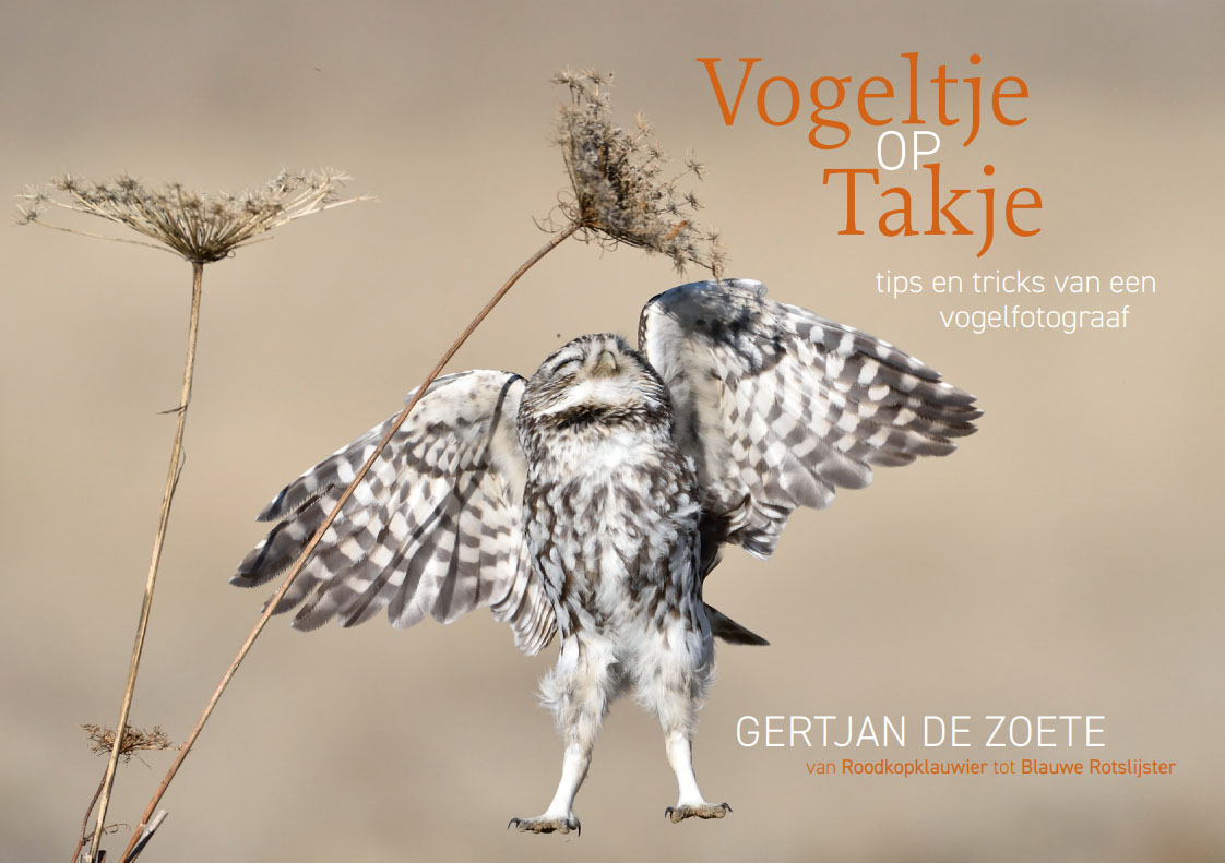 Vogeltjeoptakje