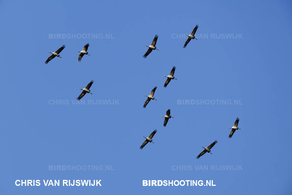 Kraanvogel 24 M2 1064 Duitsland Diepholz
