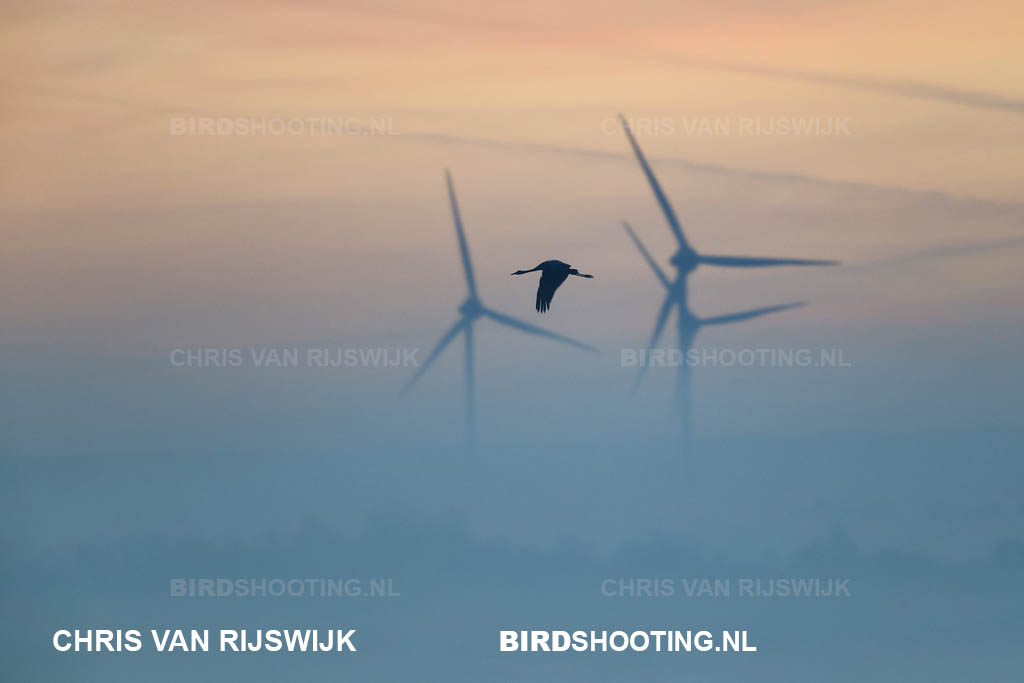 Kraanvogel 24 M2 3693 Duitsland Diepholz