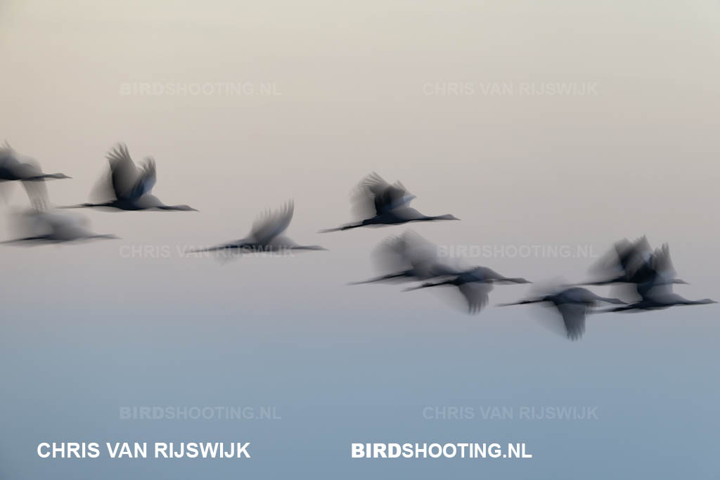 Kraanvogel 24 M2 4068 Duitsland Diepholz