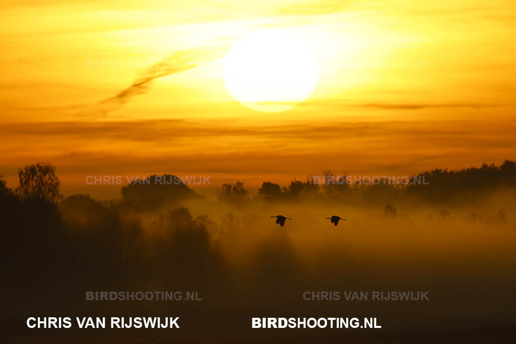 Kraanvogel 24 M2 4722 Duitsland Diepholz
