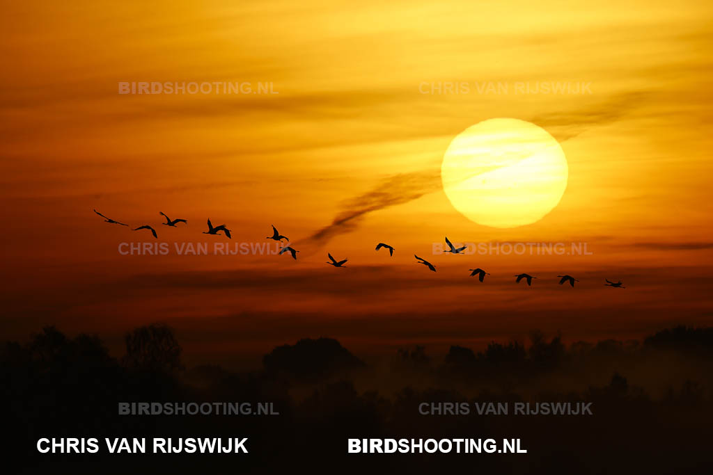 Kraanvogel 24 M2 4819 Duitsland Diepholz
