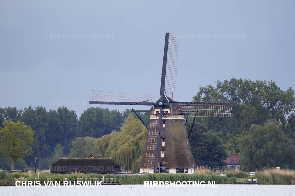 Nederland Rottemeren 26 M2 5639