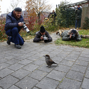 Notenkraker Wageningen