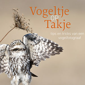 Vogeltje op takje een review