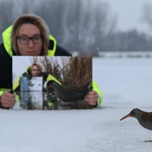 Het Droste-effect en de natuurfotograaf